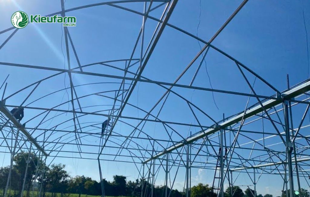 Thi công nhà màng dưa lưới tại Kieufarm