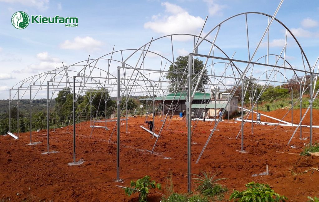 Thi công móng và khung nhà màng trồng dưa lưới
