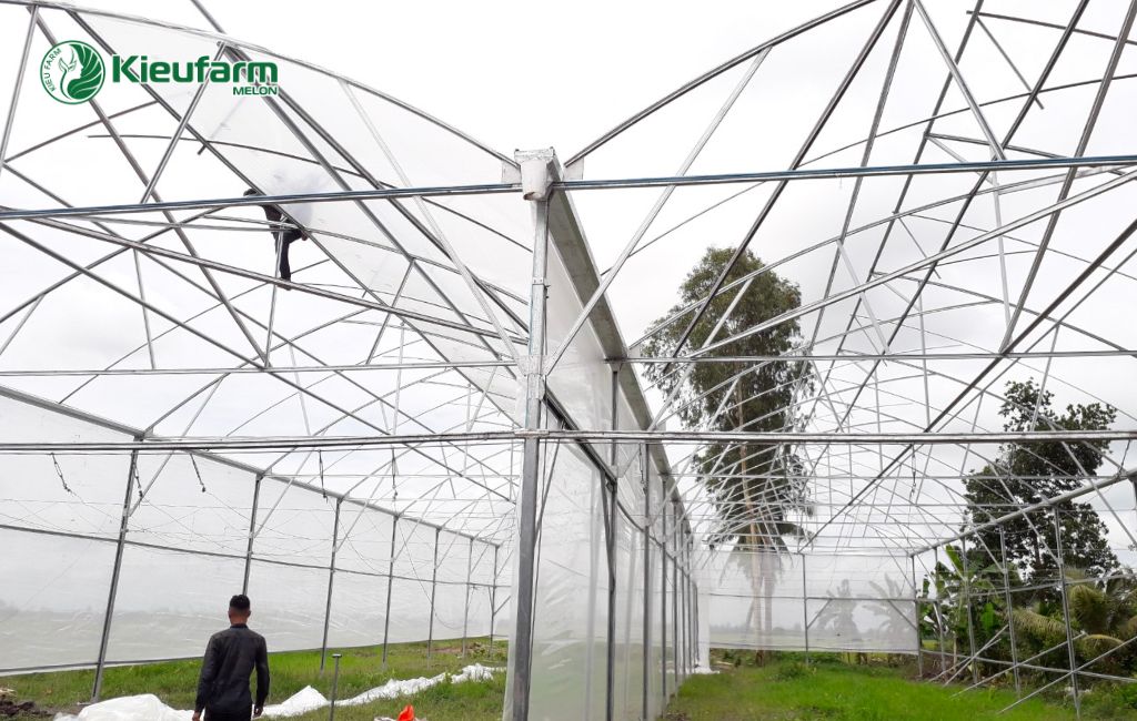 Thi công nhà màng dưa lưới chuyên nghiệp