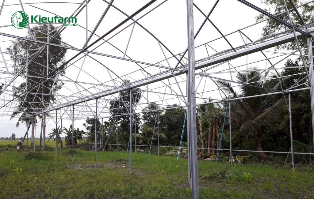 Thi công nhà màng dưa lưới tại Cà Mau