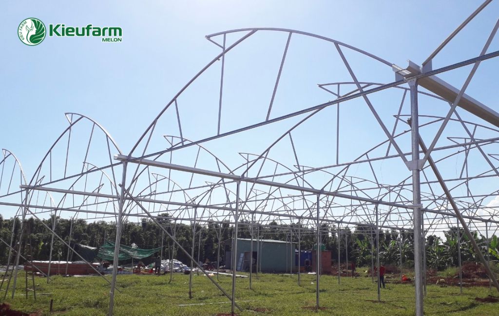 Thi công lắp đặt nhà màng dưa lưới uy tín