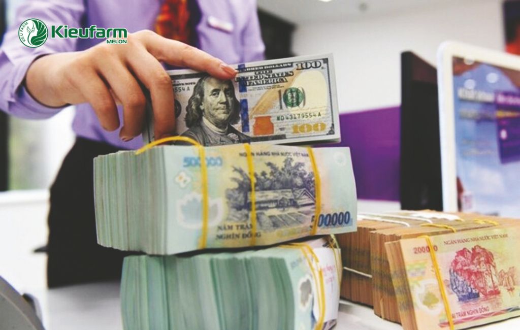 Chi phí làm nhà màng dưa lưới tại KonTum