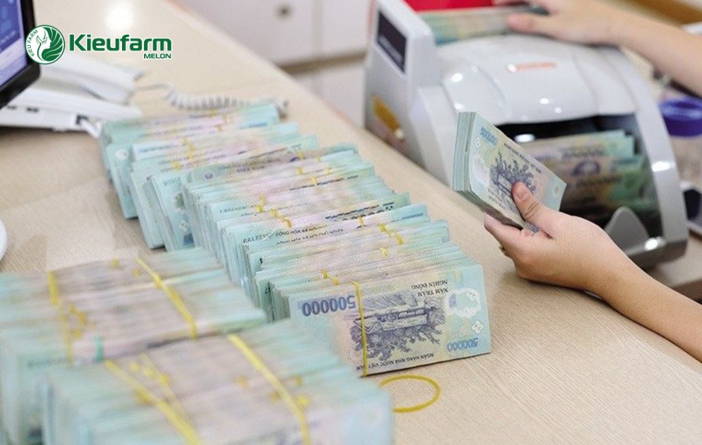 Chi phí làm nhà màng dưa lưới