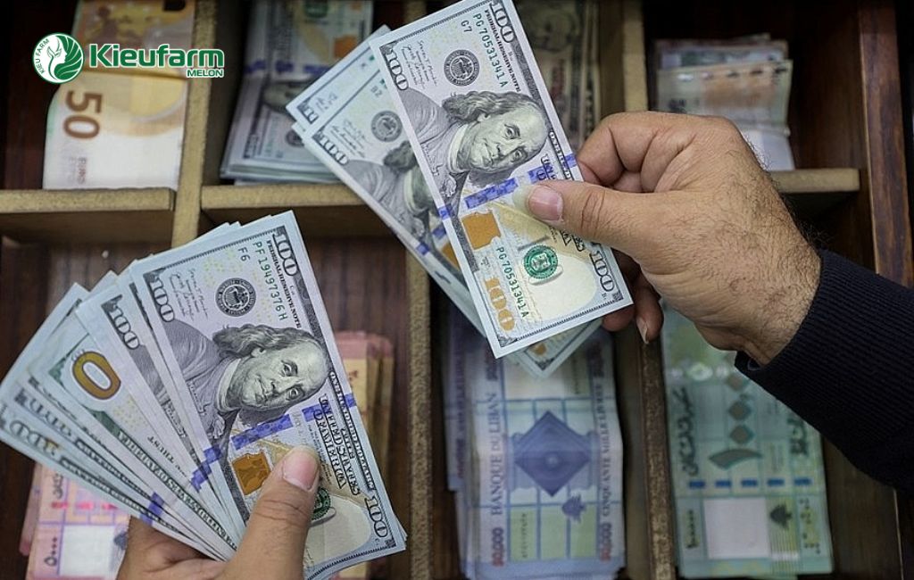 Chi phí làm nhà màng dưa lưới