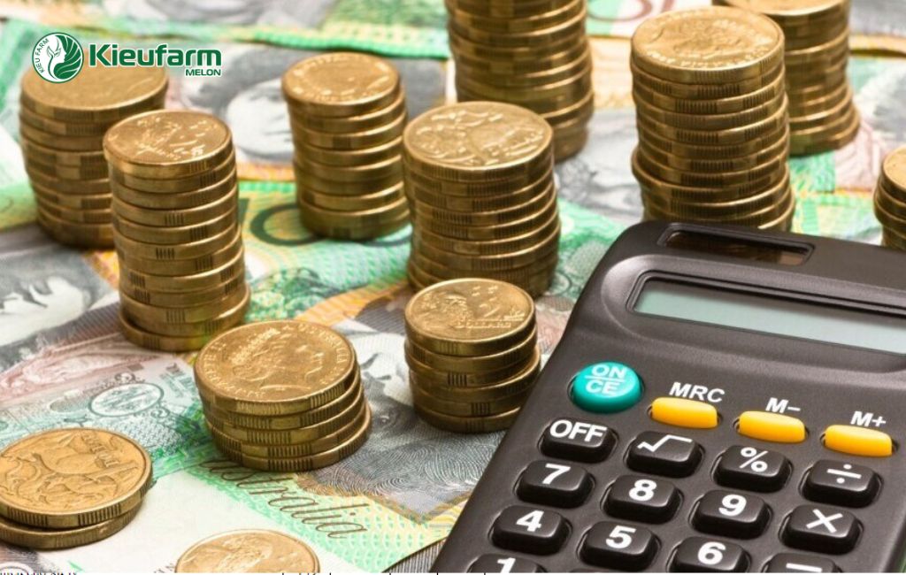 Chi phí làm nhà màng dưa lưới tại Bến Tre