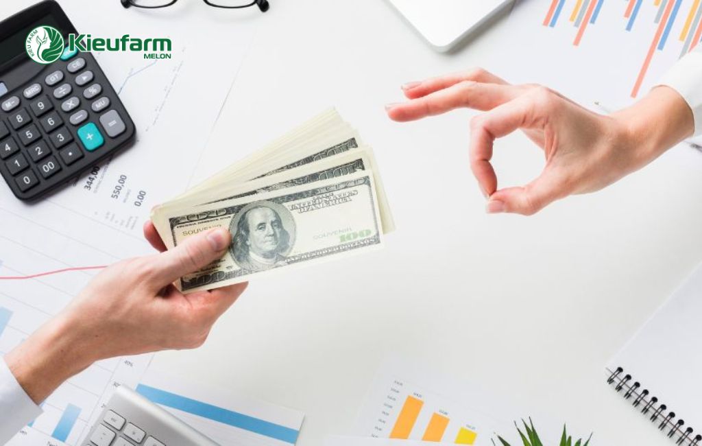 Chi phí thi công nhà màng tỉnh Khánh Hòa