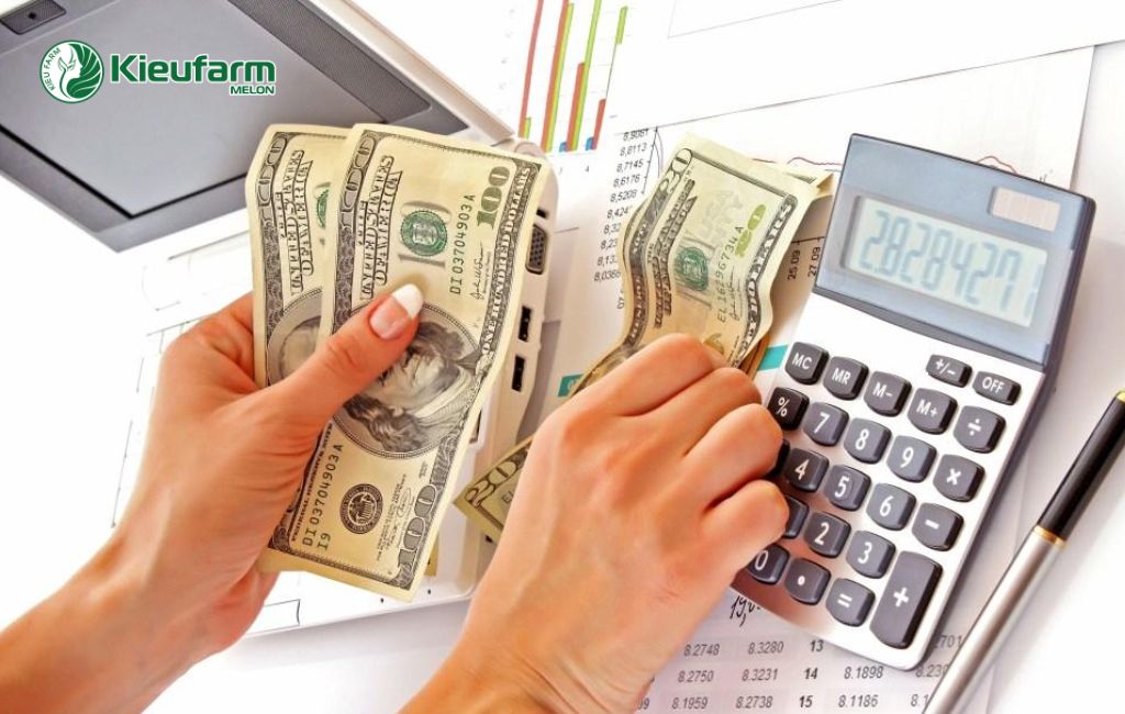 Chi phí thi công nhà màng dưa lưới Kieufarm