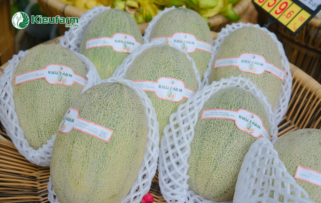 Lợi ích đầu tư làm nhà màng trồng dưa lưới