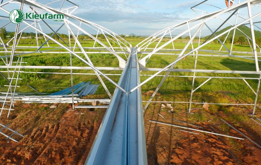 Dịch vụ thi công nhà màng trọn gói tại Kieufarm