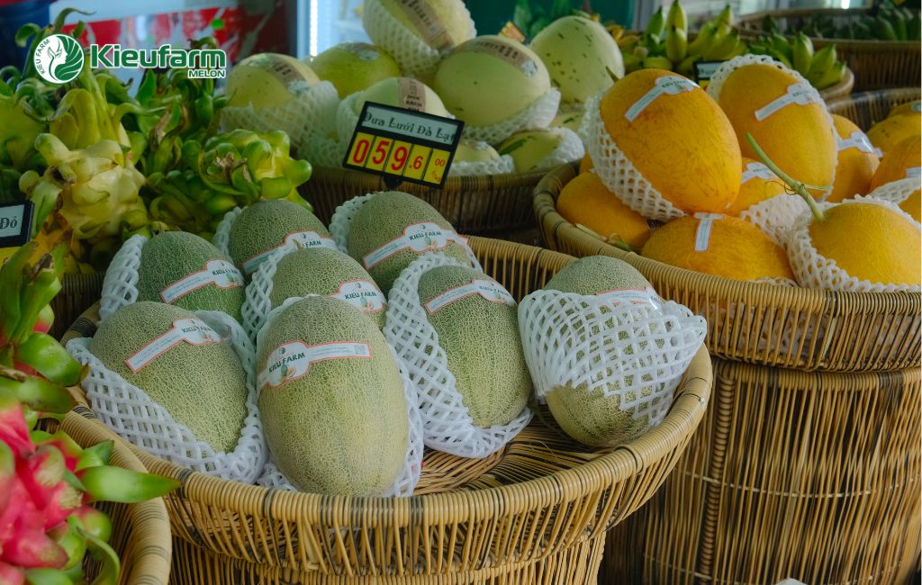 Kieufarm bao tiêu cho dự án nhà màng dưa lưới