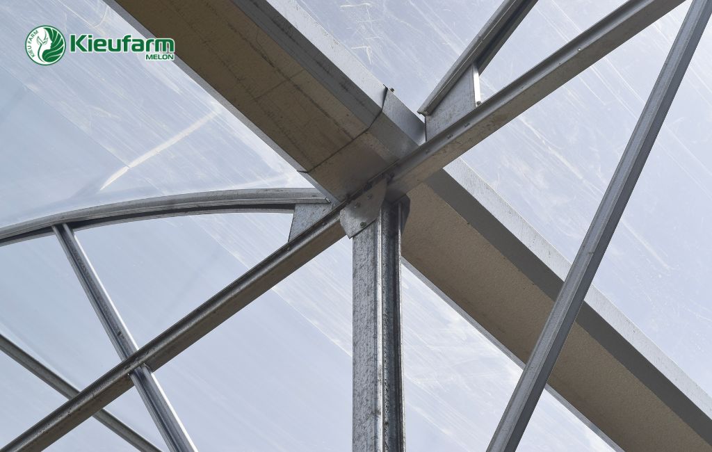 Dịch vụ thi công nhà màng dưa lưới uy tín