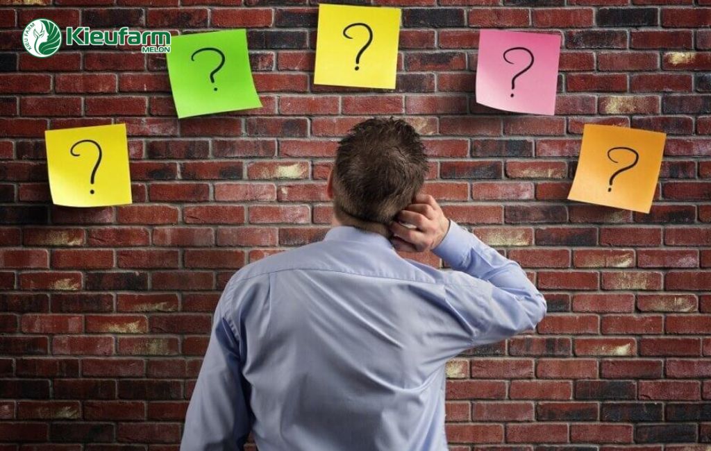 Giải đáp thắc mắc chính sách hỗ trợ vay vốn