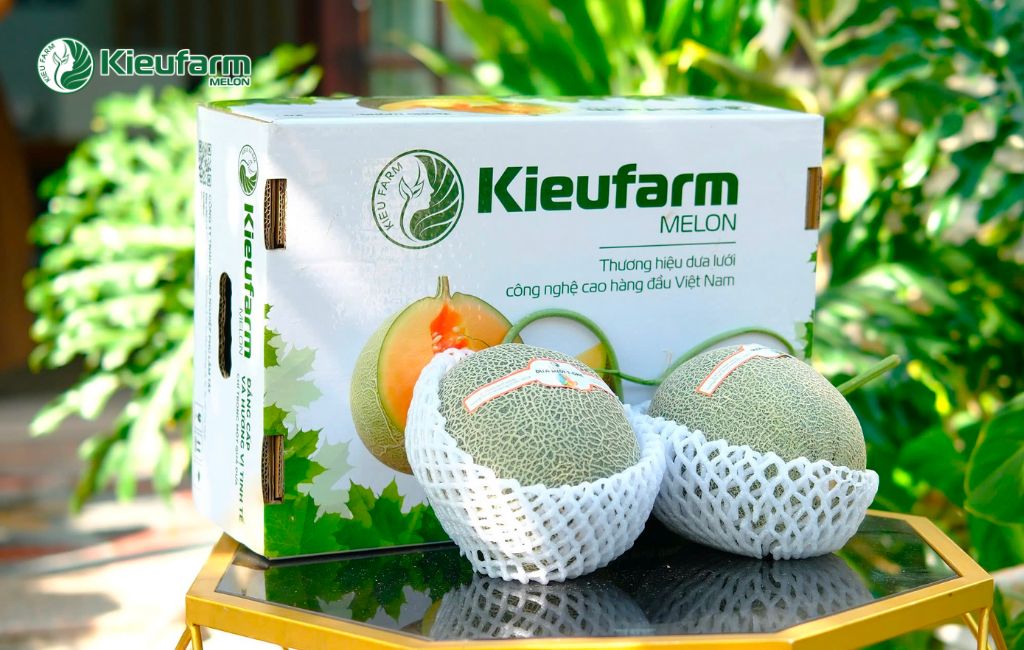 Dịch vụ thi công nhà màng dưa lưới tại Cà Mau