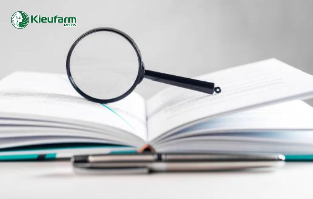 Chuẩn bị trước khi làm nhà màng dưa lưới