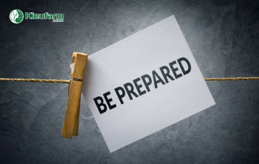 Chuẩn bị trước khi đầu tư nhà màng dưa lưới Kieufarm