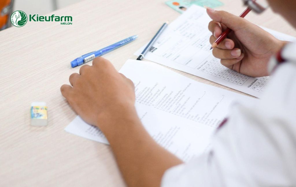 Chuẩn bị trước khi thi công nhà màng dưa lưới