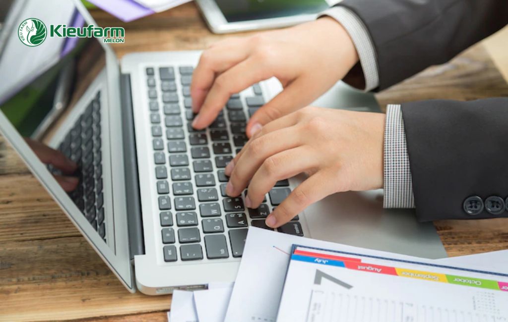 Lên kế hoạch làm nhà màng dưa lưới