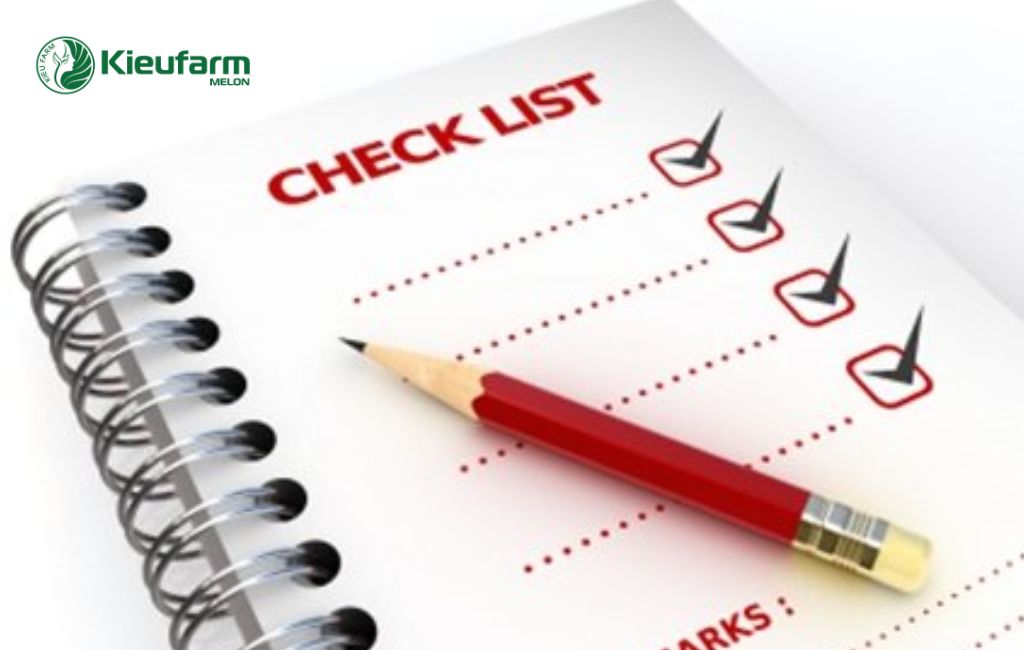 Chuẩn bị trước làm nhà màng dưa lưới