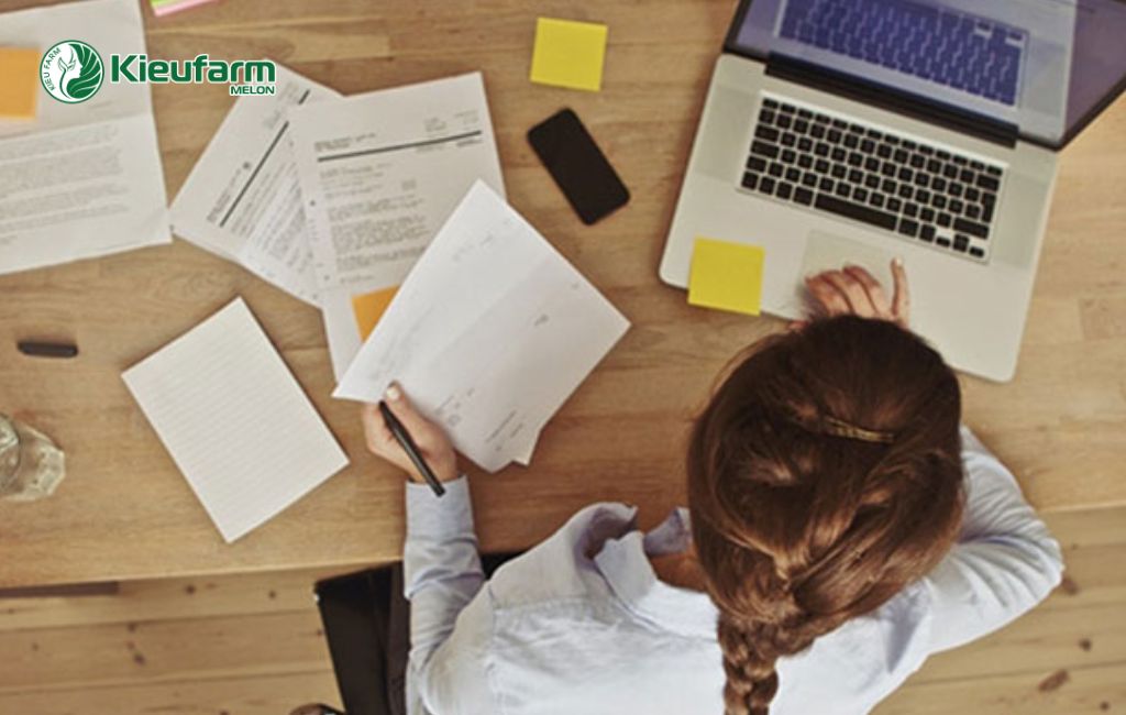 Chuẩn bị trước khi làm nhà màng dưa lưới