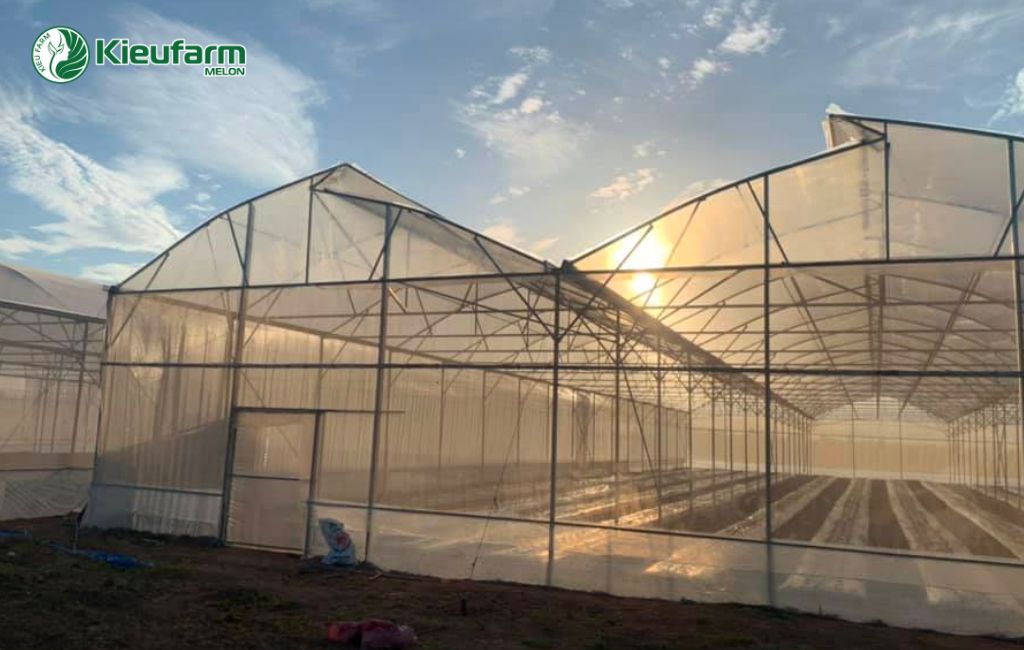 Mô hình nhà màng dưa lưới