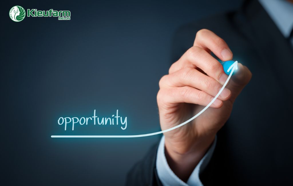 Cơ hội đầu tư mô hình nhà màng nông nghiệp