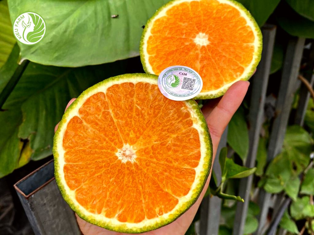 Cam sành Hiếu Liêm - Kiều Farm 1kg