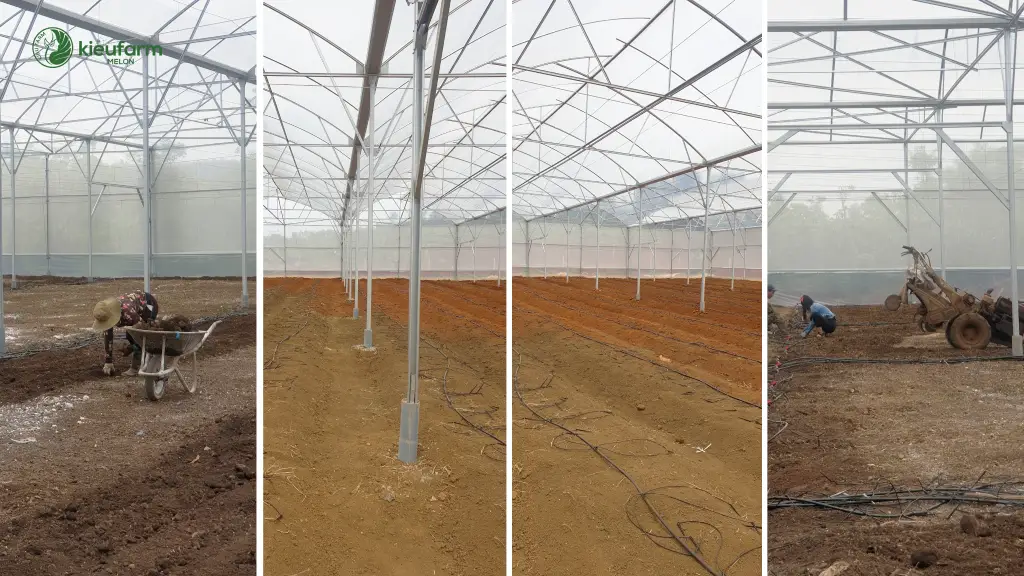 Dự án nhà màng dưa lưới anh Thanh