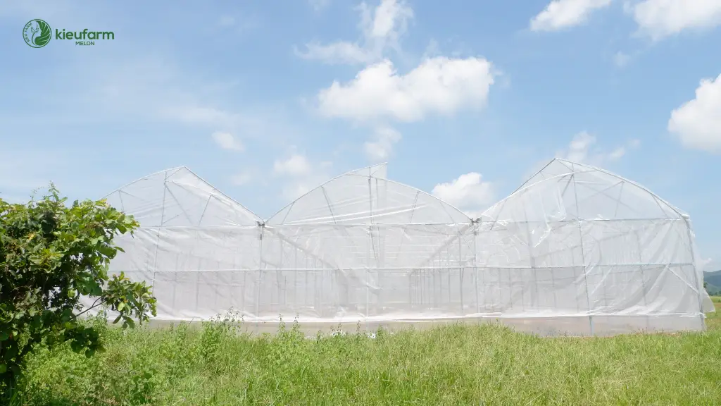 Dự án nhà màng thực nghiệm Bình Thuận