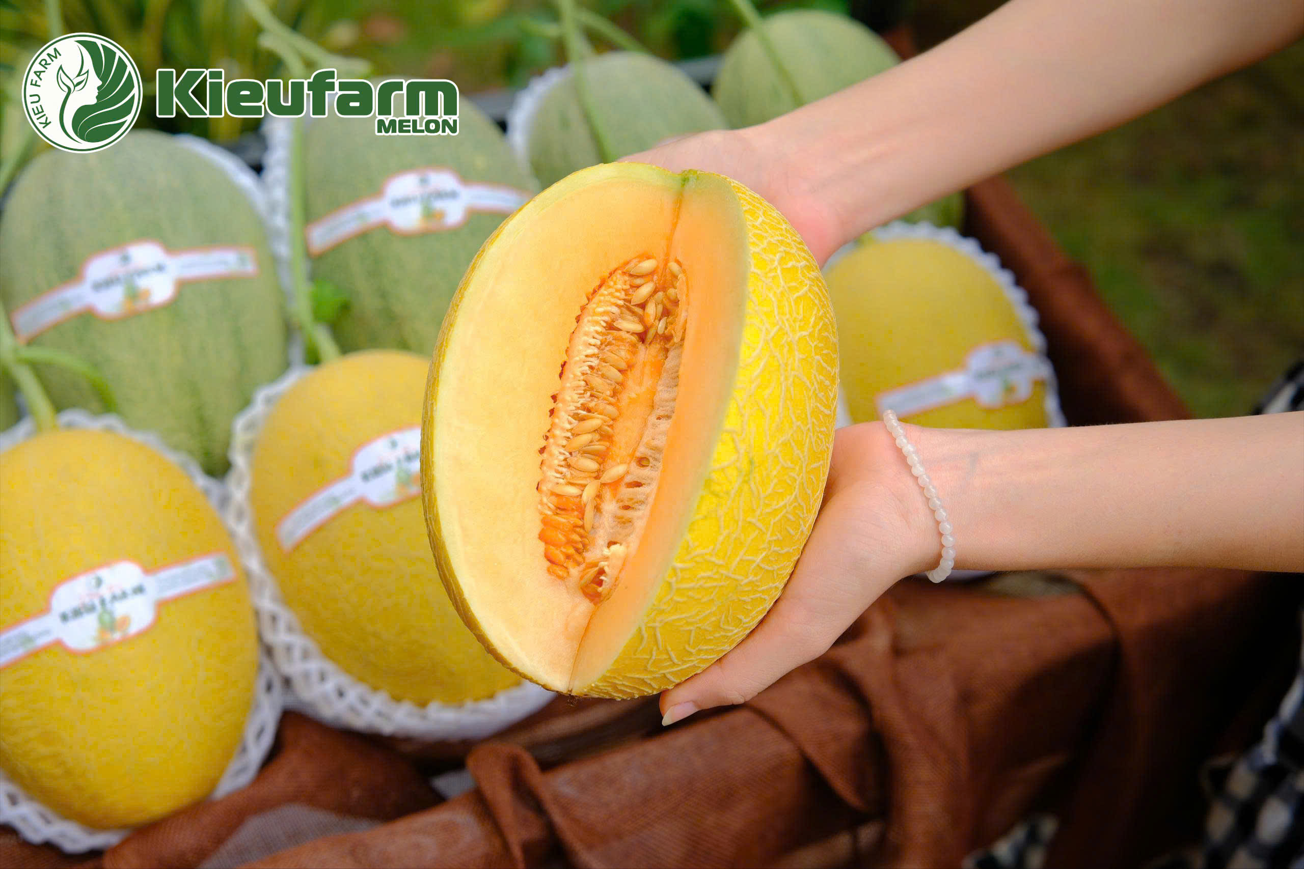 Ngoài hương vị hấp dẫn, dưa lưới còn là thực phẩm tốt cho sức khỏe hàng ngày, phù hợp cả người lớn và trẻ nhỏ.