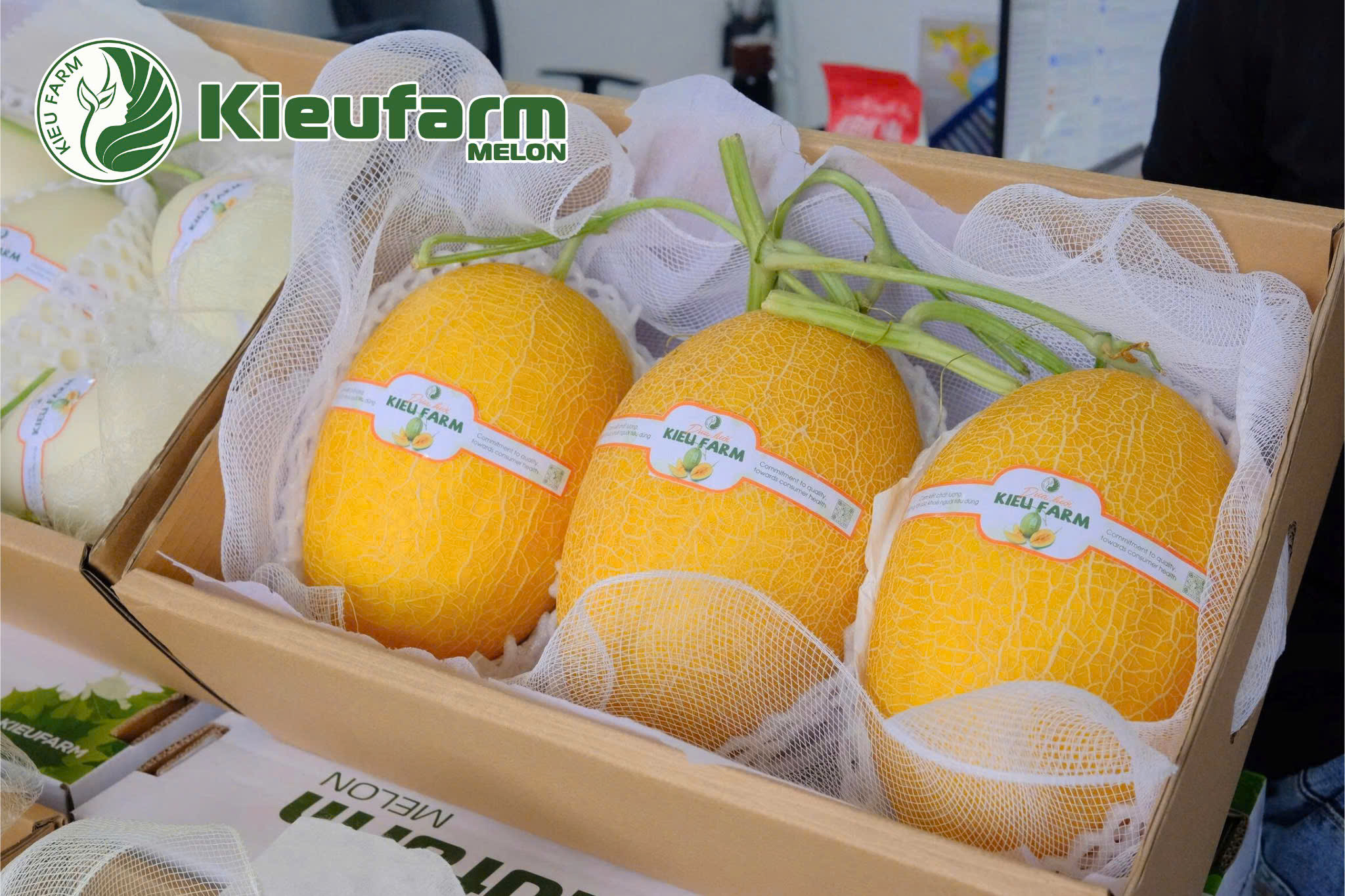 Hãy để mỗi trái dưa bạn lựa chọn đều xứng đáng với giá trị bỏ ra.