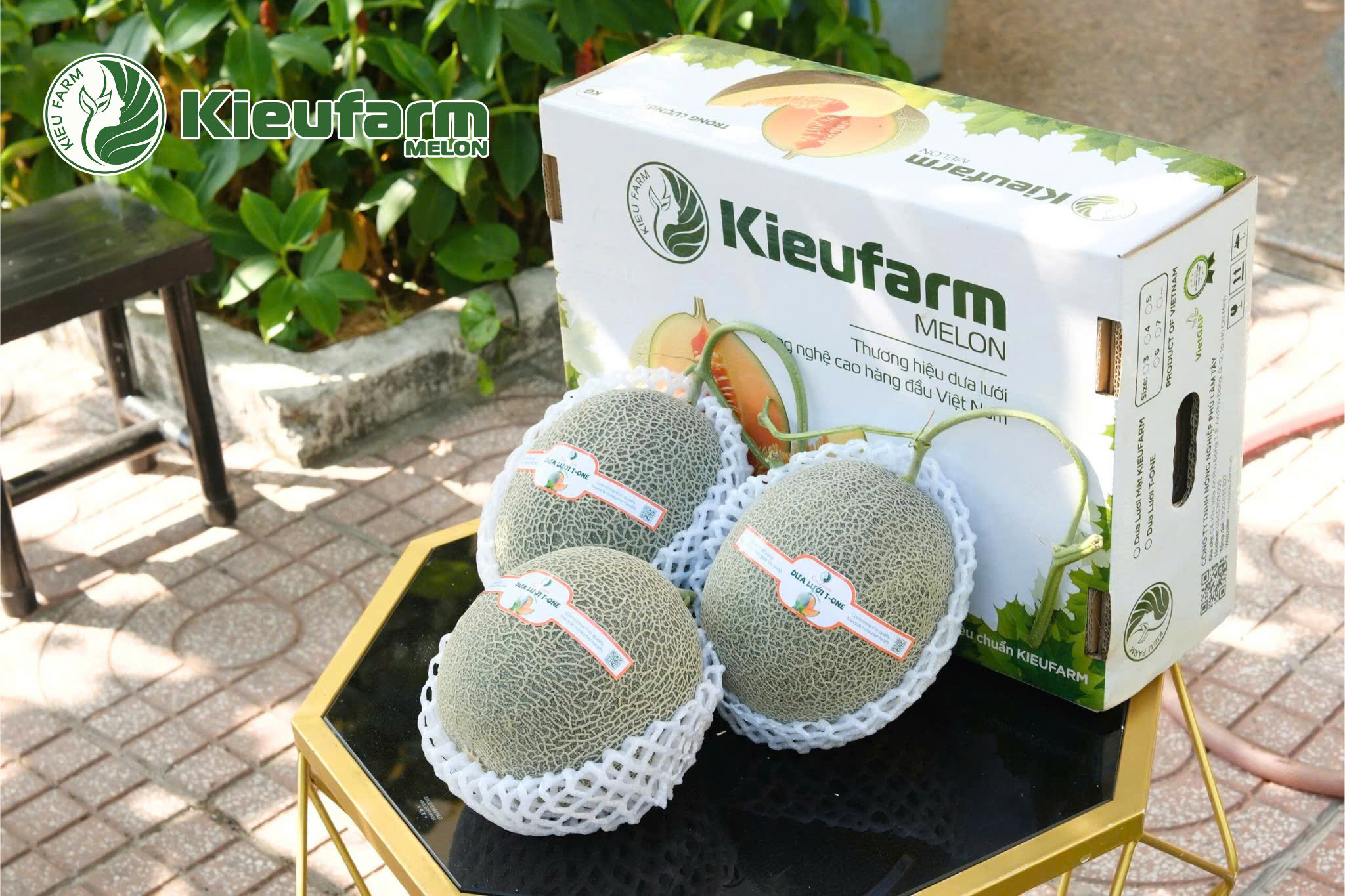 Dưa lưới giúp nâng cao sức khỏe, hỗ trợ tiêu hóa, chăm sóc da và bổ sung năng lượng lành mạnh.