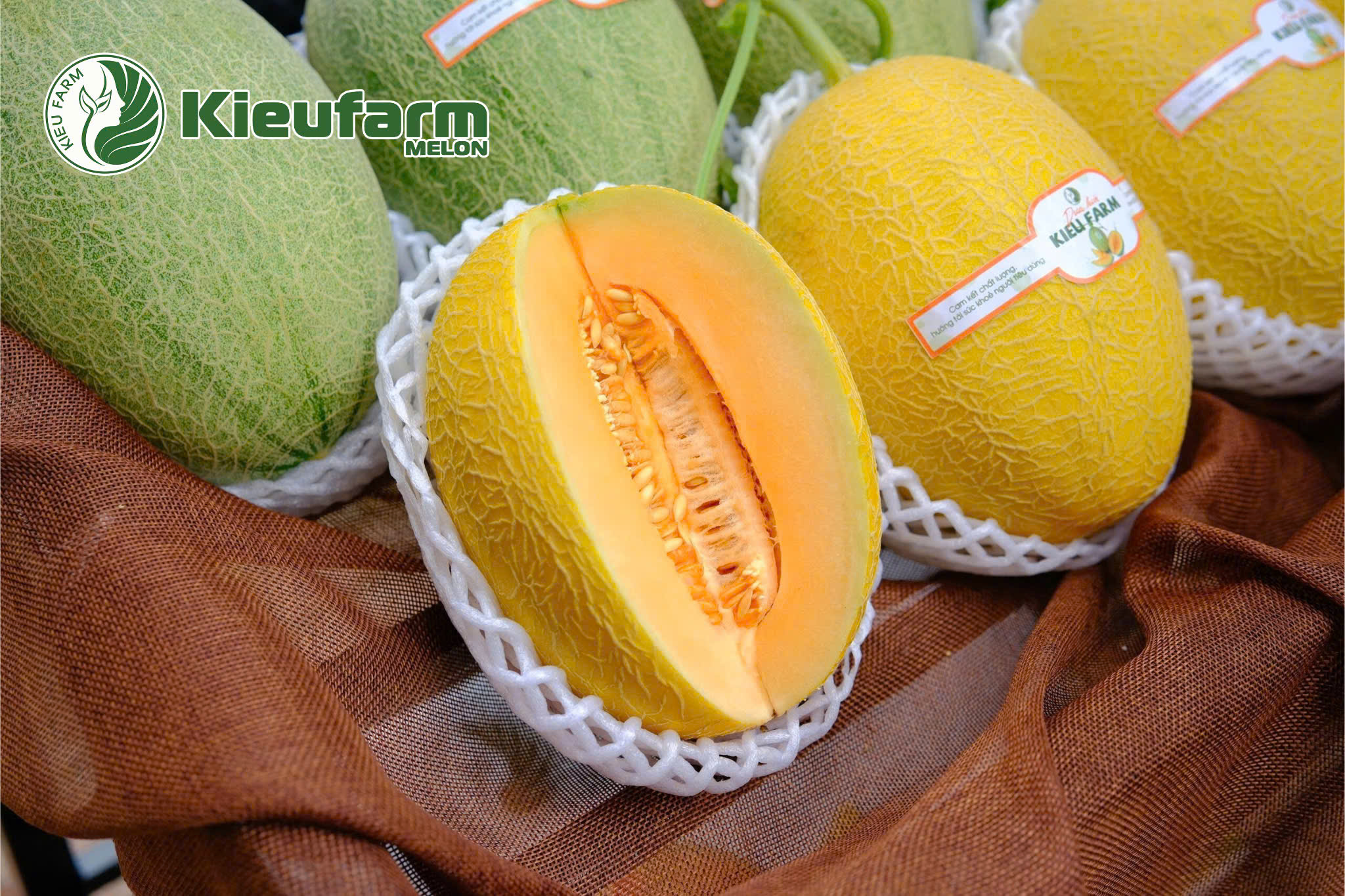 Mô hình trồng dưa lưới trong nhà màng công nghệ cao giúp trái phát triển tự nhiên, chất lượng, không tồn dư hóa chất.