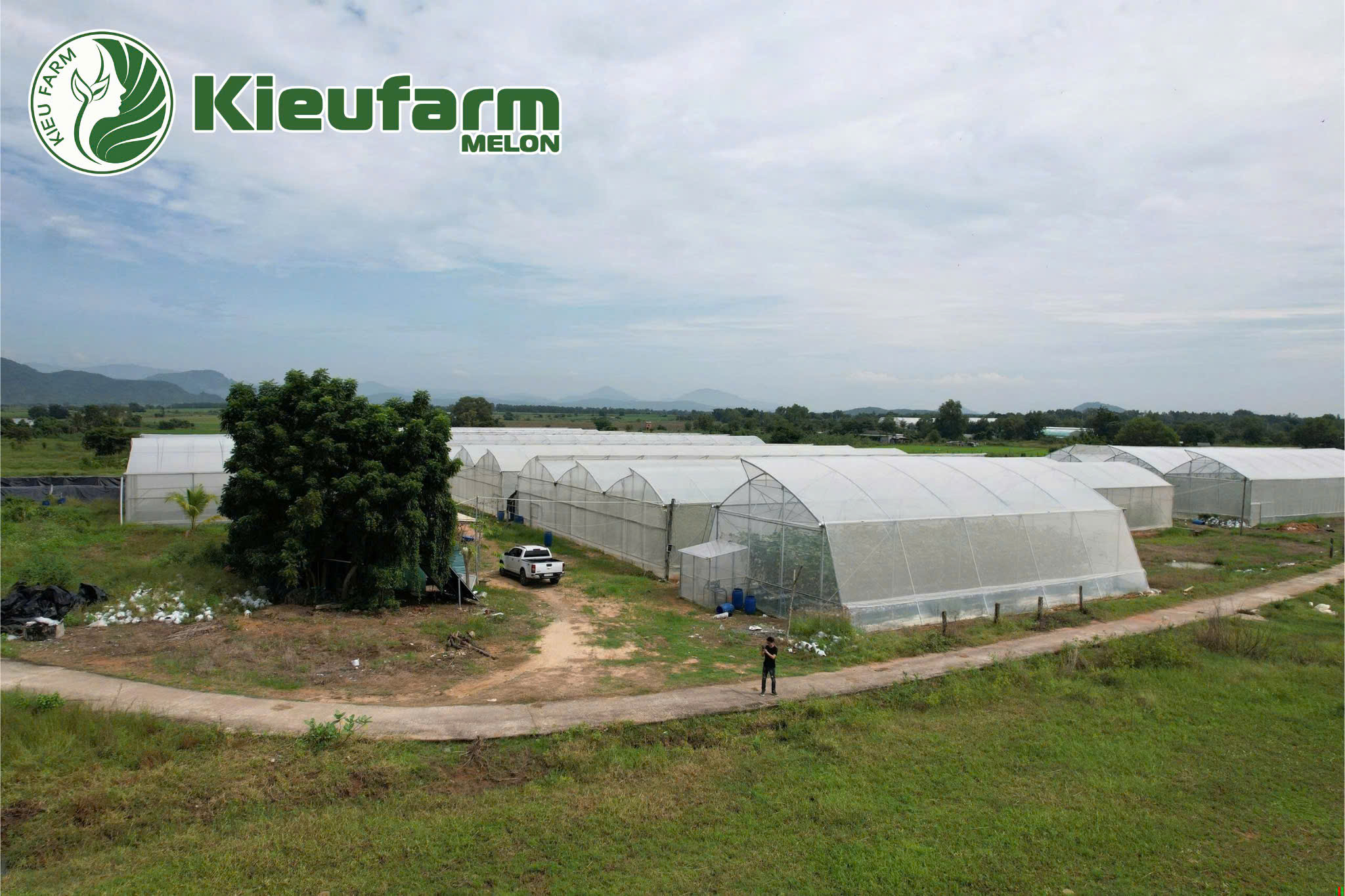 Với mô hình này, người trồng có thể kiểm soát ánh sáng, độ ẩm, chất dinh dưỡng và nước tưới.