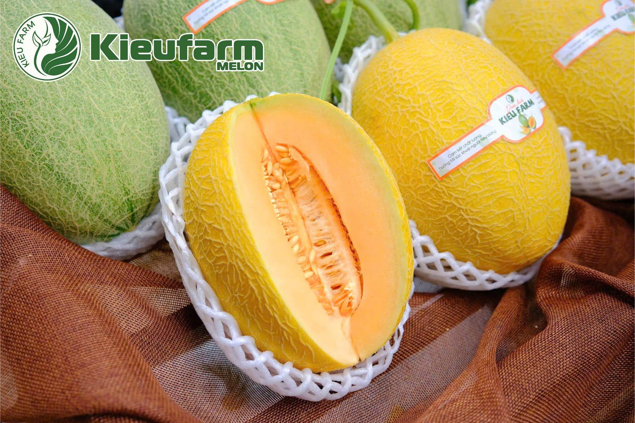 Dưa KF25 thường đạt độ ngọt từ 14–16 Brix - mức đường lý tưởng để thưởng thức.