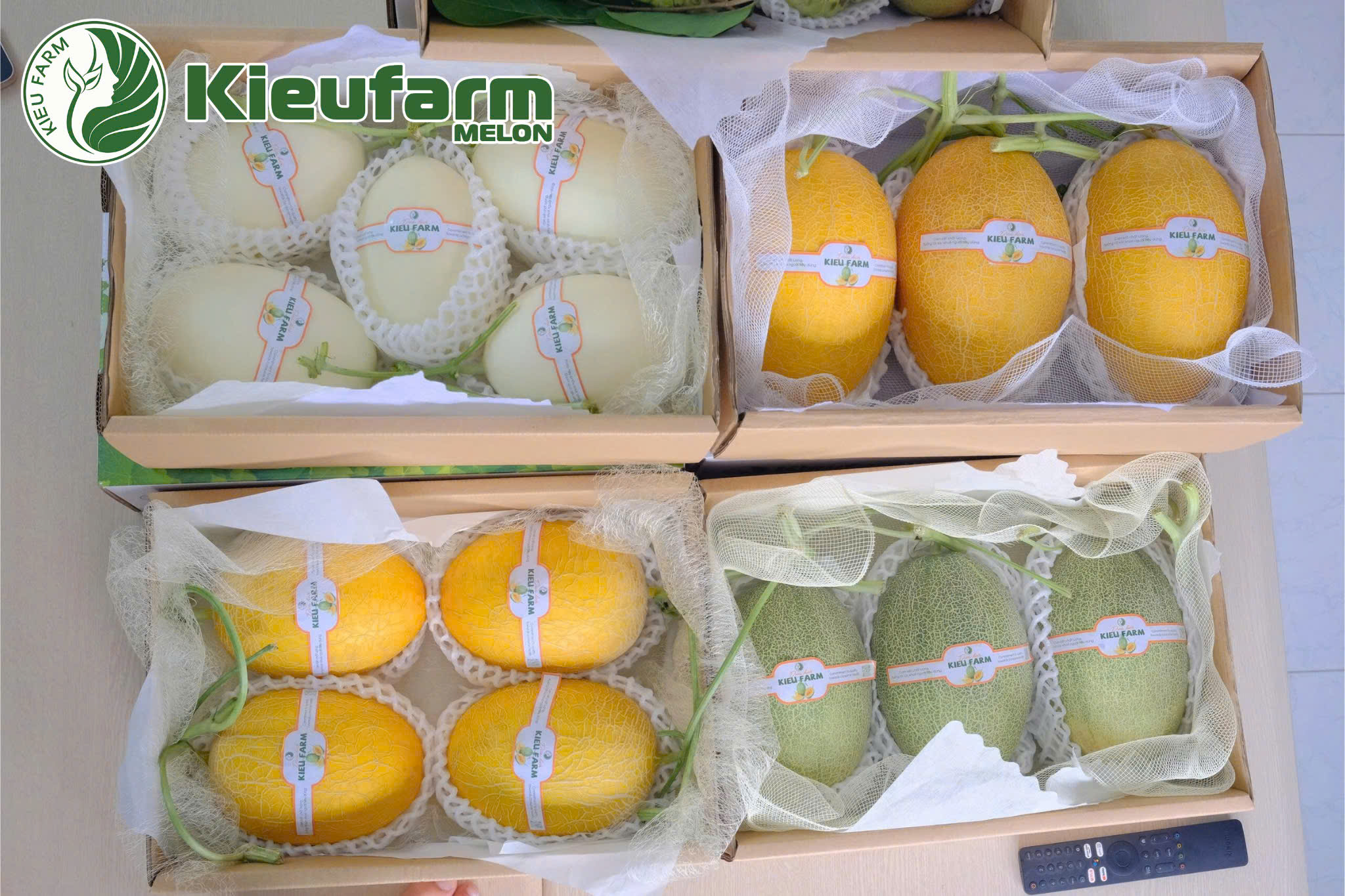 Tất cả những giống dưa của Kieufarm đều đủ điều kiện để xuất khẩu sang Nhật Bản.