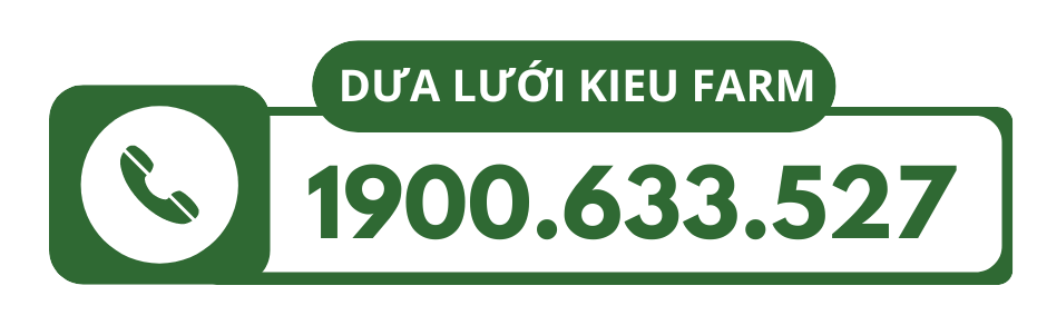 Dưa lưới Kieufarm