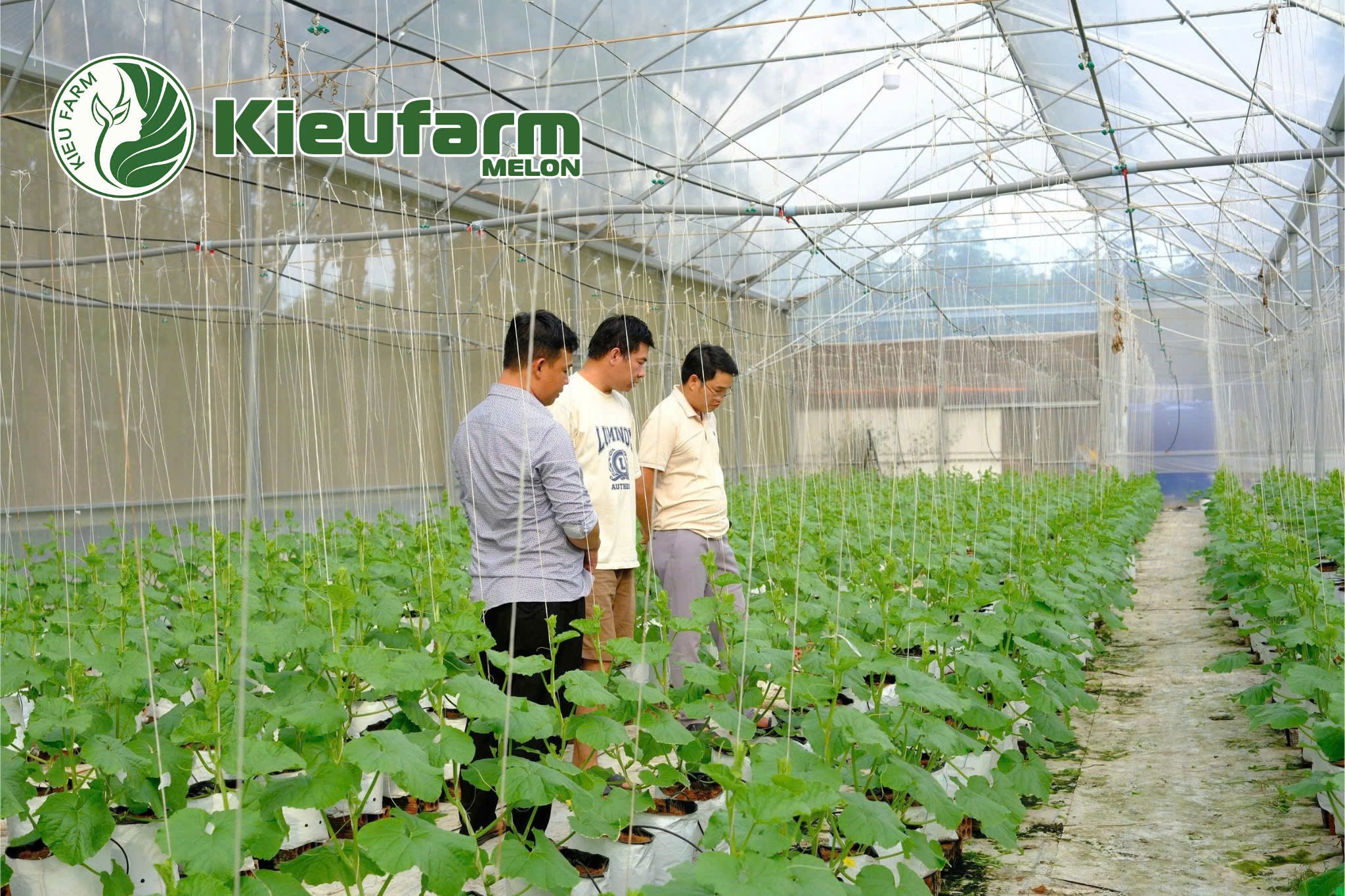 Quy trình hoạt động của hợp tác xã không chỉ giúp kiểm soát chất lượng mà còn tạo sự minh bạch trong toàn bộ chuỗi sản xuất.