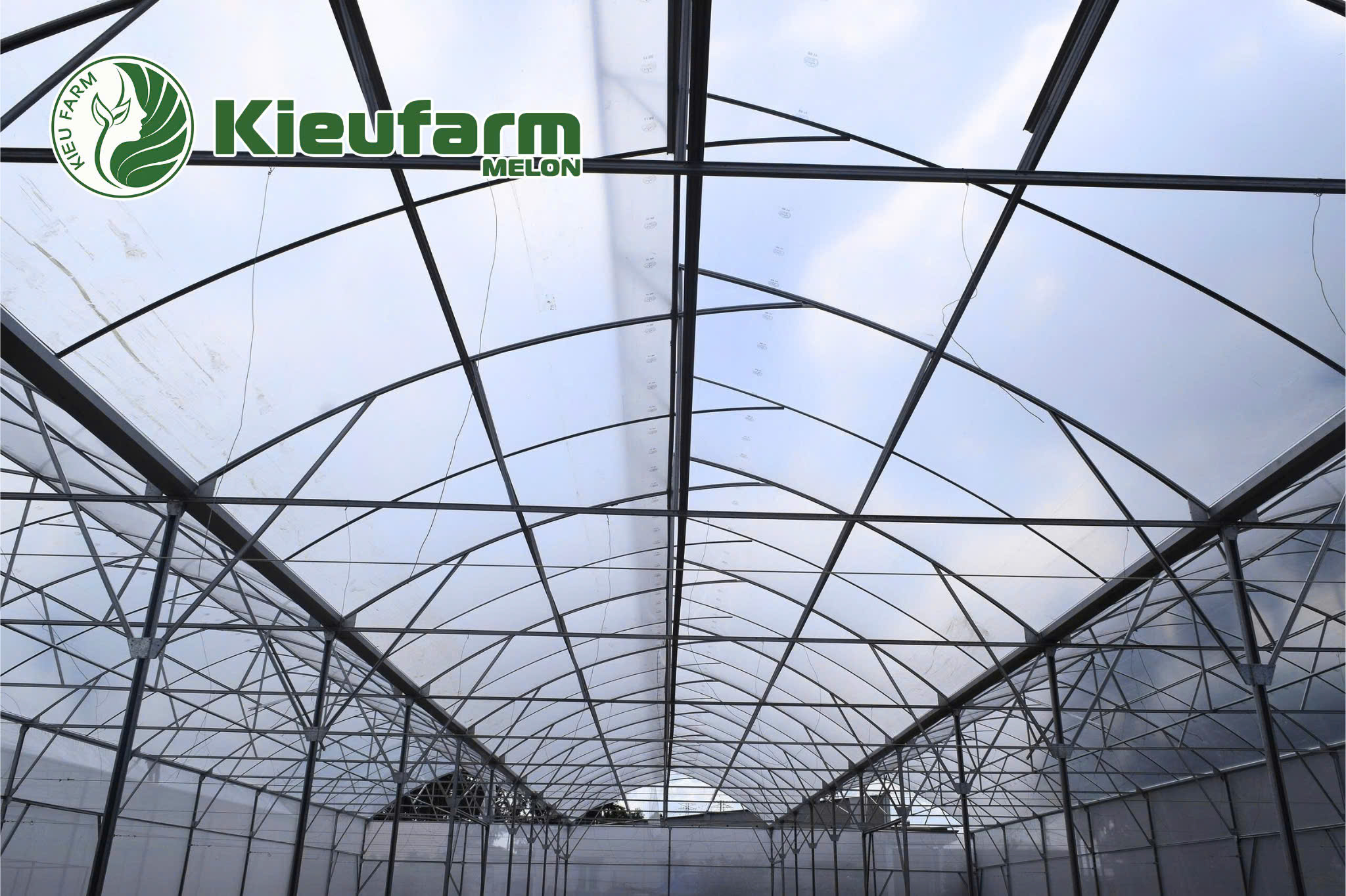 Kieufarm cung cấp giải pháp toàn diện từ thiết kế, thi công nhà màng đến giống, giá thể, hệ thống tưới và quy trình kỹ thuật trồng.