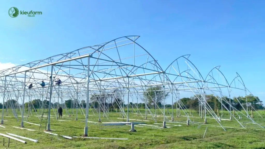 Thi cong nha mang trong dua luoi Kieufarm