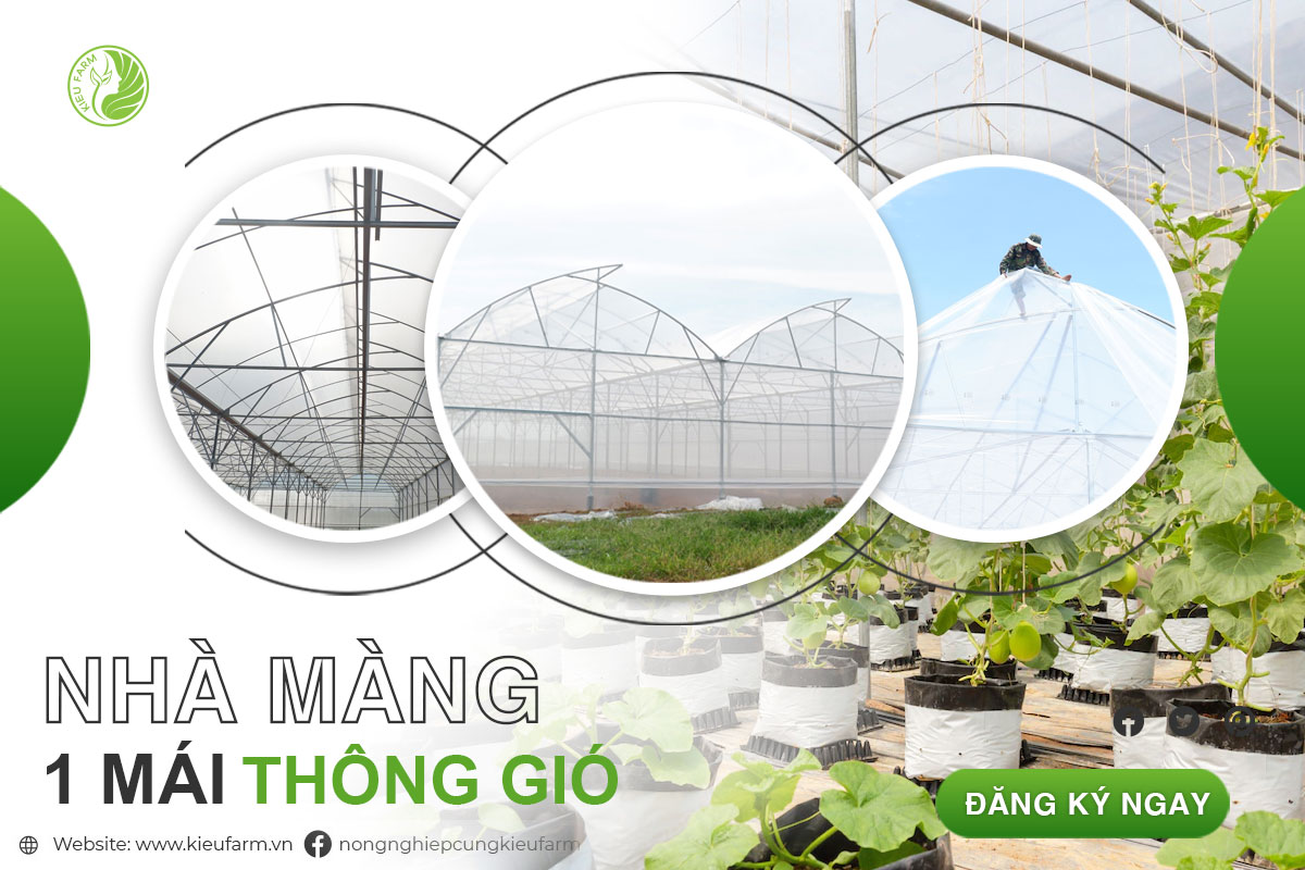 Lắp đặt nhà màng 1 nóc thông gió