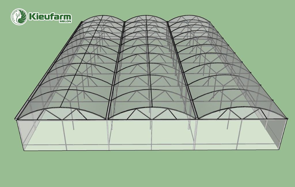 Nhà màng trồng dưa lưới không mái gió - Kieufarm
