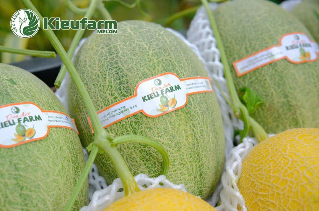 Quả dưa lưới chất lượng chính là linh hồn của món ăn, cho bữa ăn thêm trọn vẹn.