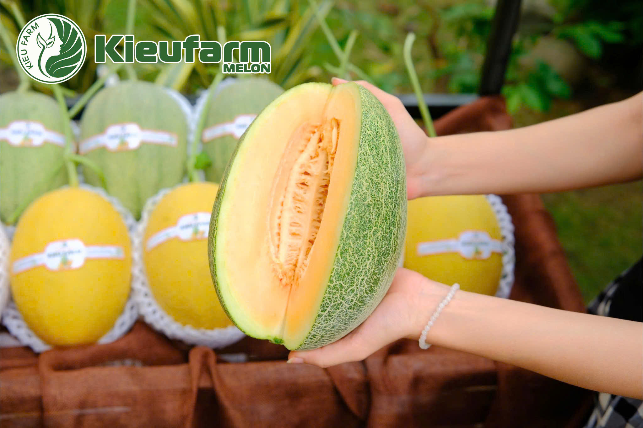 Một quả dưa lưới chín tới sẽ cho vị ngọt nhẹ nhàng, thanh mát, không gắt và không bị nhạt nước.