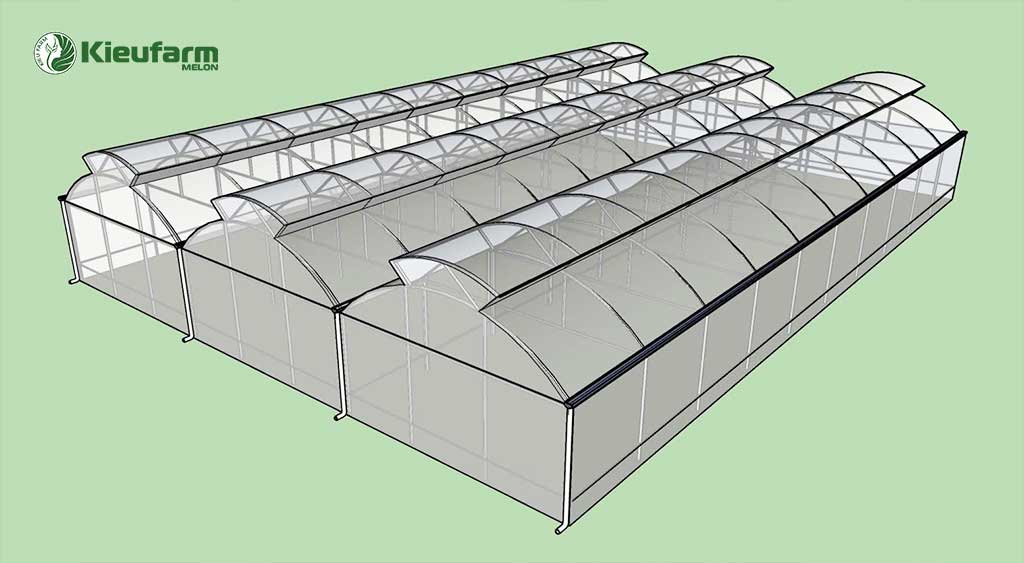 Thi công nhà màng 2 mái lấy gió kieufarm