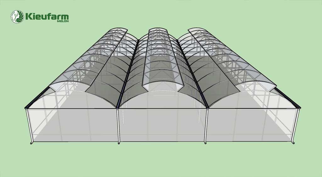Thiết kế nhà màng trồng dưa lưới 2 mái lấy gió Kieufarm