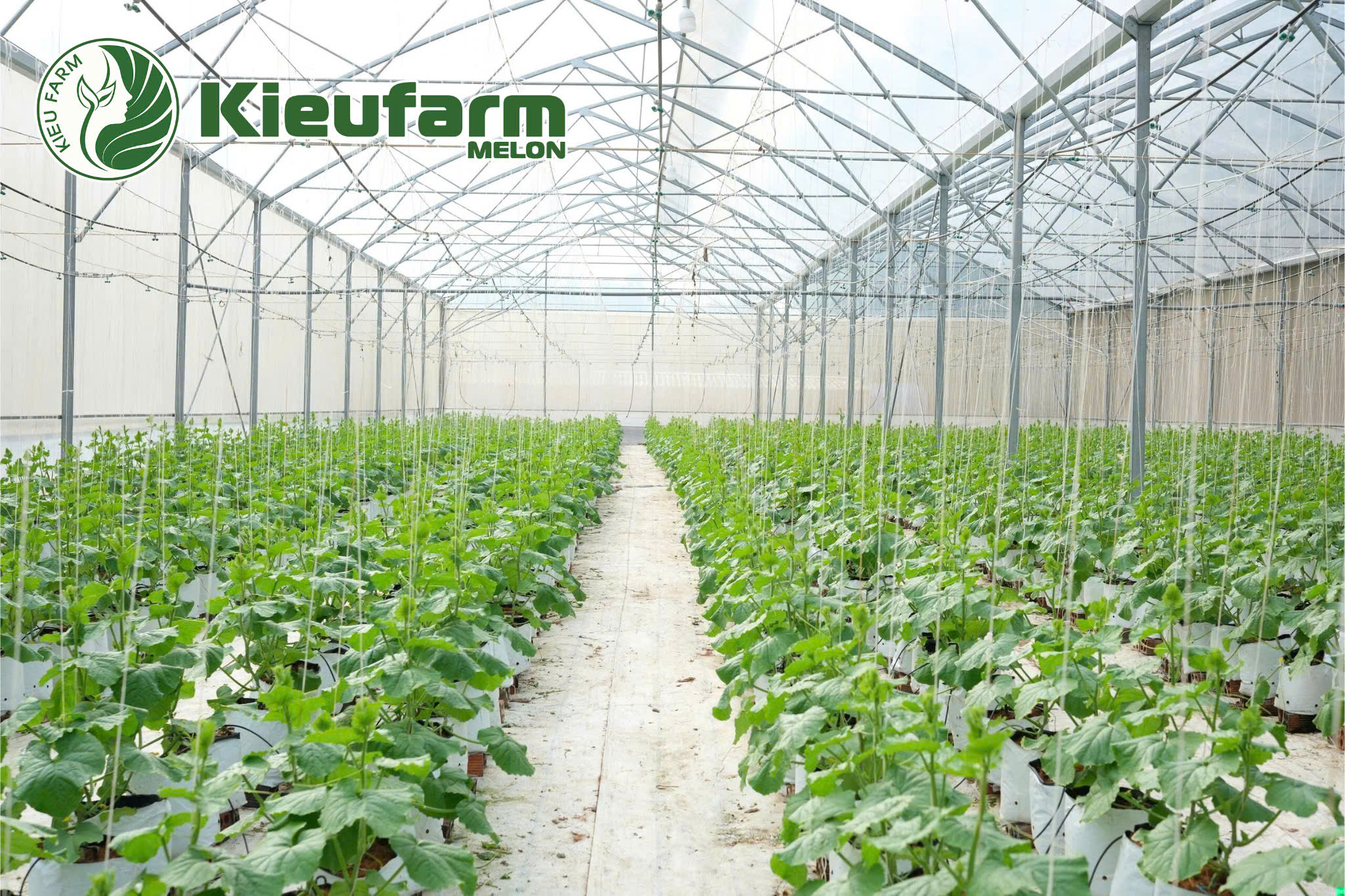 Sự an tâm của bạn chính là sứ mệnh mà Kieufarm theo đuổi.