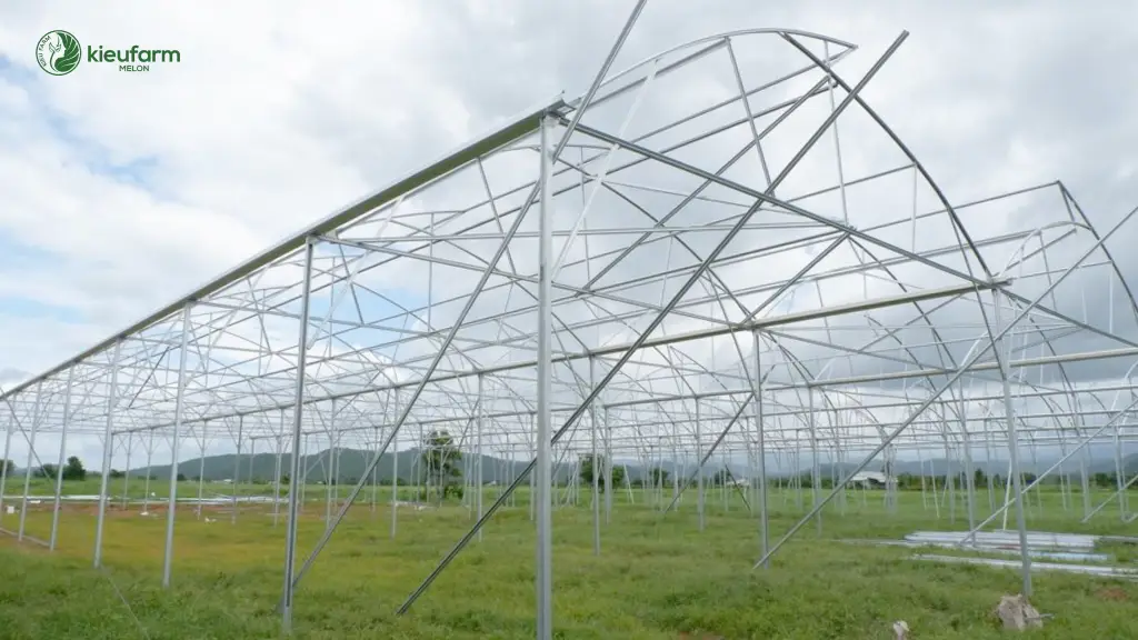 Những yêu cầu khi thi công nhà màng trồng dưa lưới