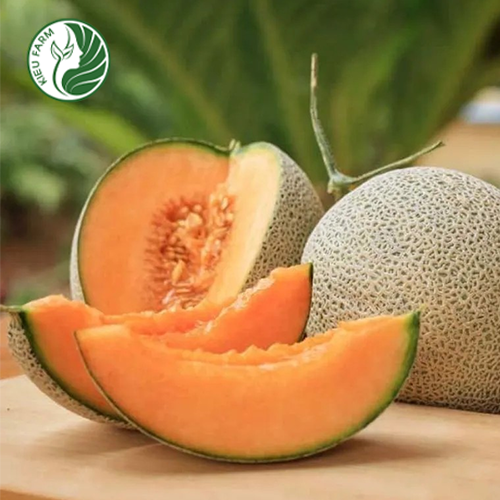 Phụ nữ sau sinh ăn dưa lưới được không