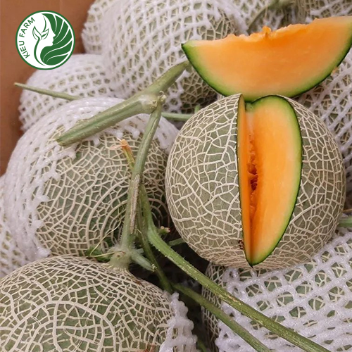 Hàm lượng dinh dưỡng trong dưa lưới