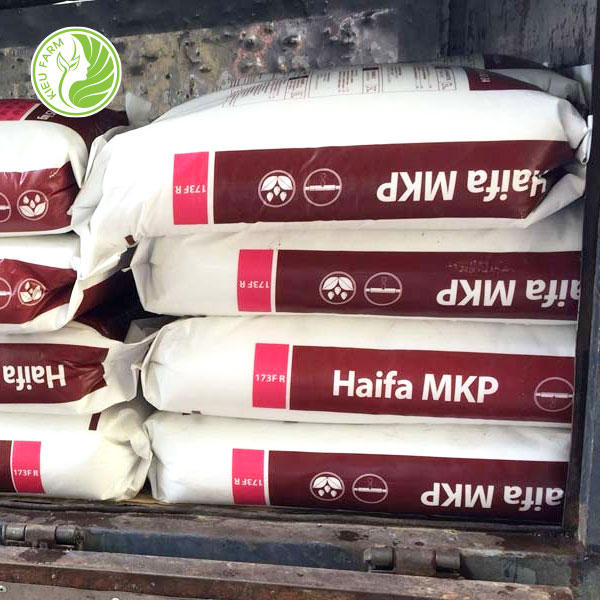Phân bón đa lượng MKP - Haifa - Bao 25kg